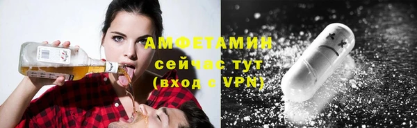 spice Дмитриев