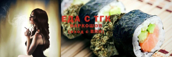 spice Дмитриев