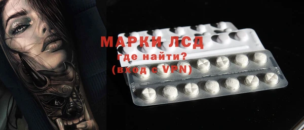spice Дмитриев