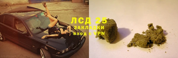 хмурый Тавда