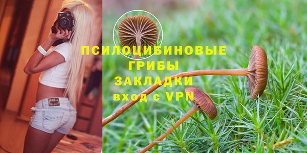 альфа пвп Тайга