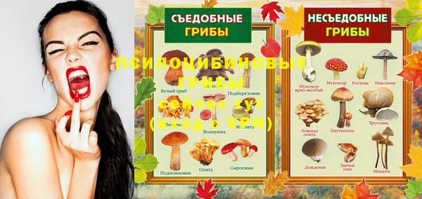 spice Дмитриев