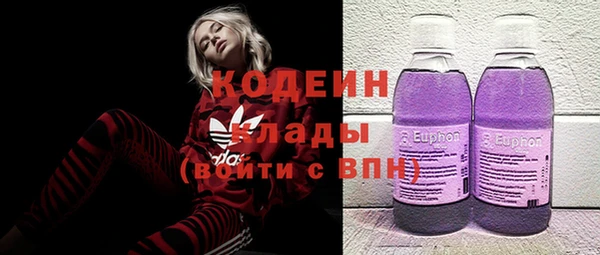 spice Дмитриев