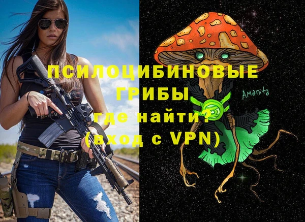2c-b Дмитровск