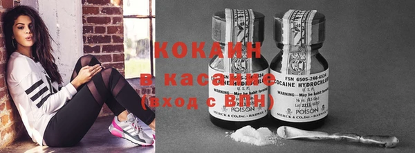 spice Дмитриев