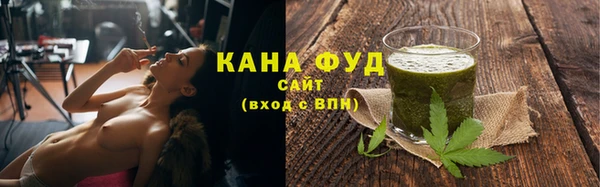 spice Дмитриев