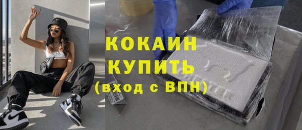 хмурый Тавда