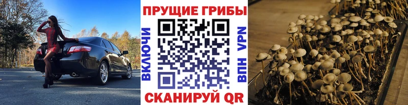 Псилоцибиновые грибы GOLDEN TEACHER  Гулькевичи 