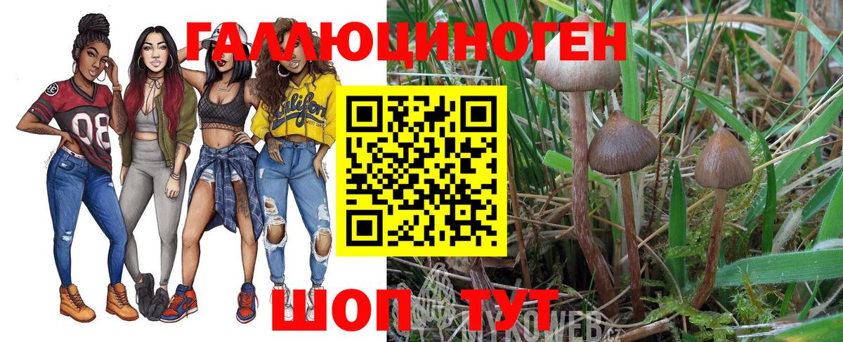 Псилоцибиновые грибы мицелий  Гулькевичи 