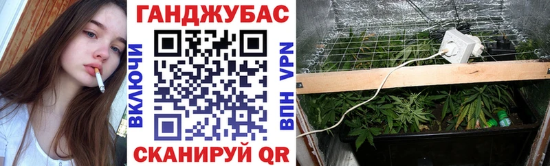 Шишки марихуана Bruce Banner где можно купить Гулькевичи